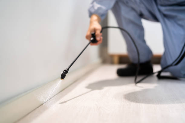 Licensed Pest Control service in Wade Hampton, SC - Show Me Pest Control