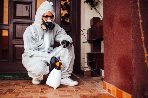 Multi-Unit and Airbnb Bed Bug Protocol in Wade Hampton