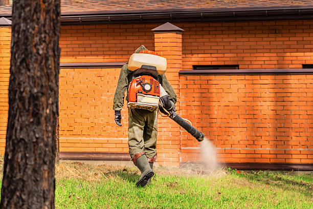 Bed Bug Clearance Verification and Documentation in Wade Hampton